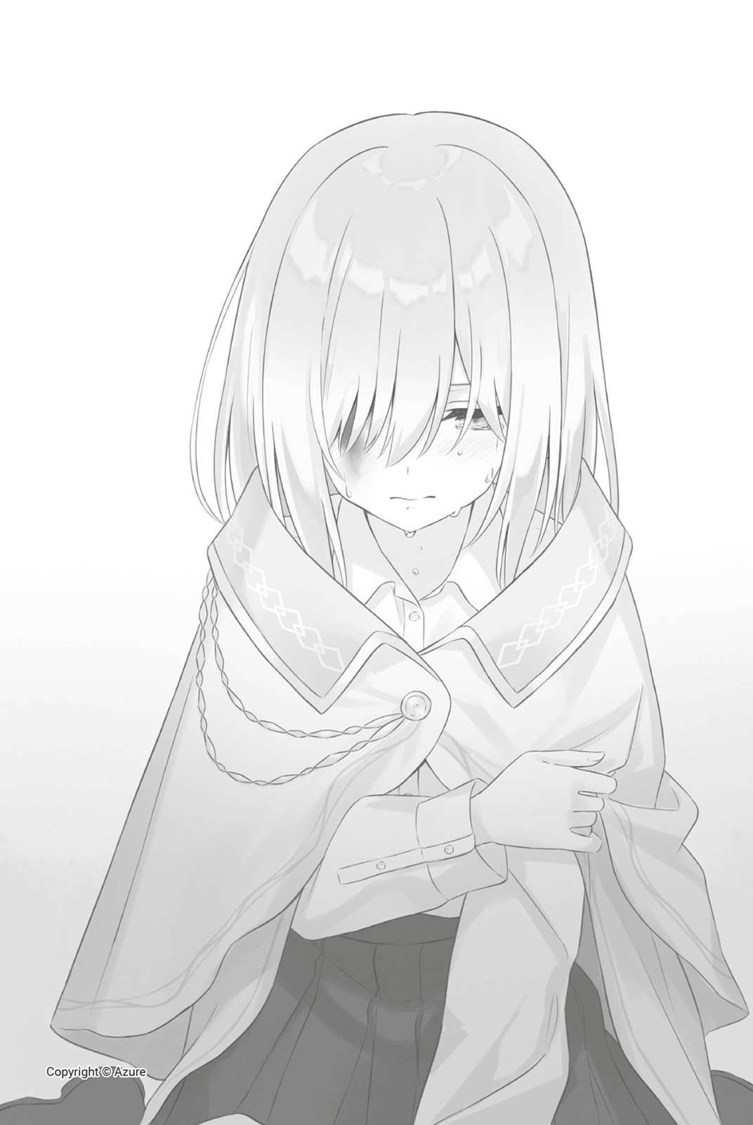 插图 10