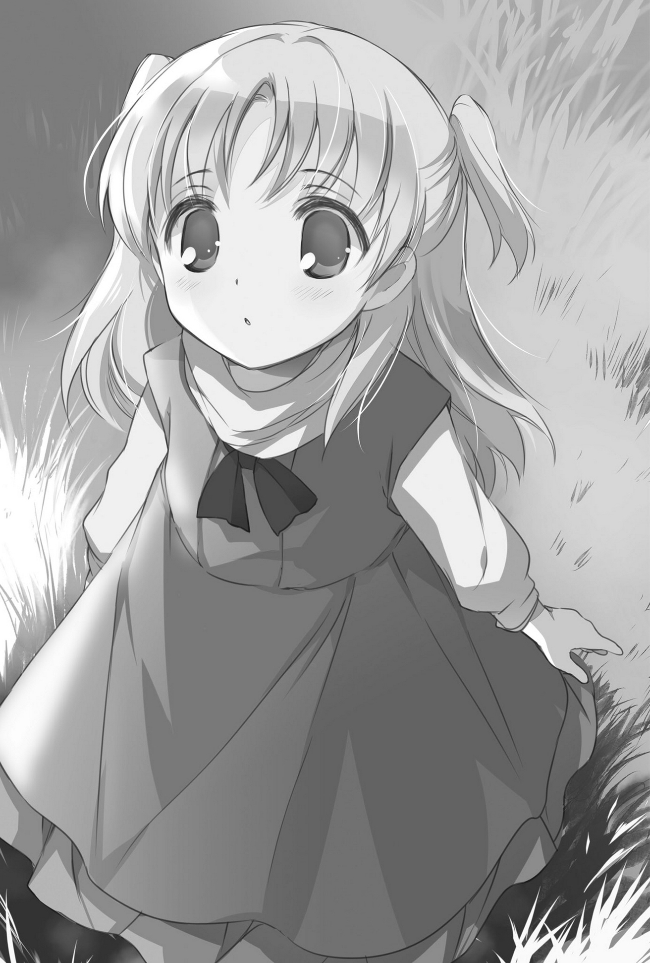 插图 10