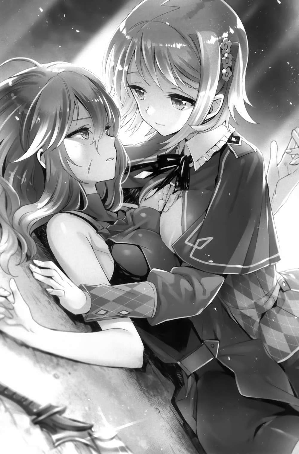 插图 11