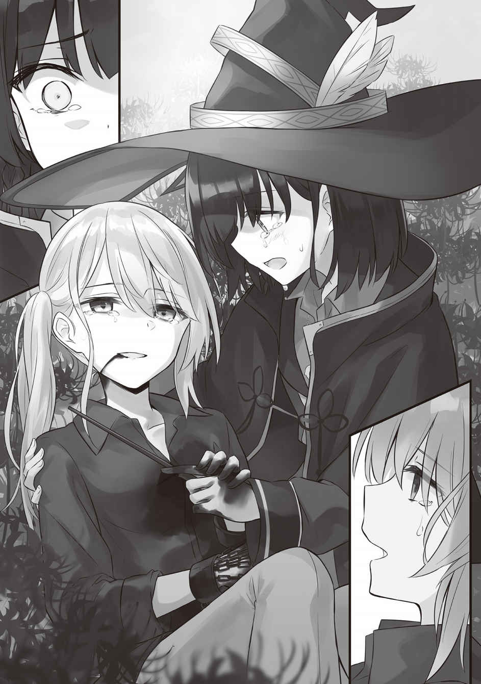 插图 11