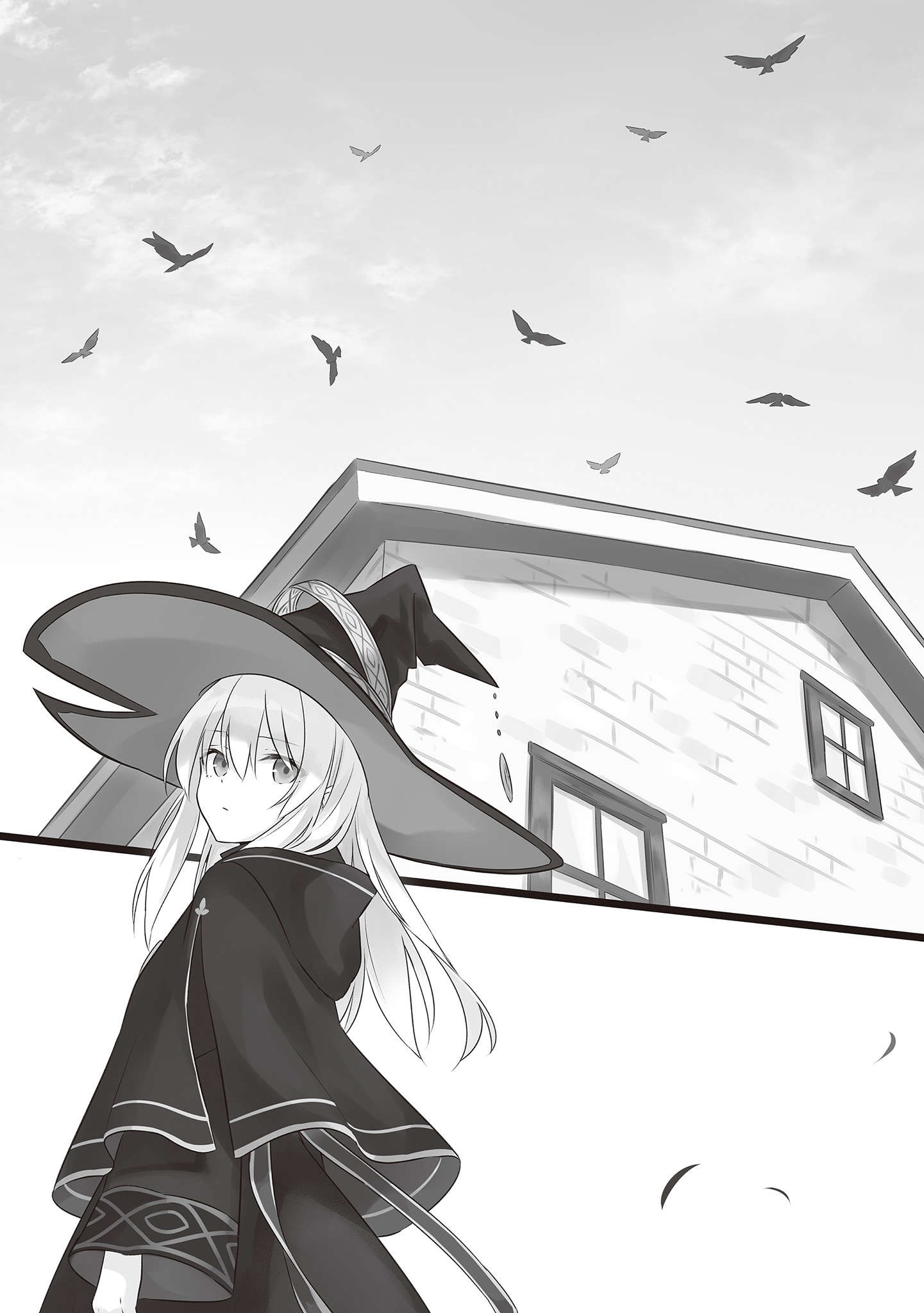插图 11