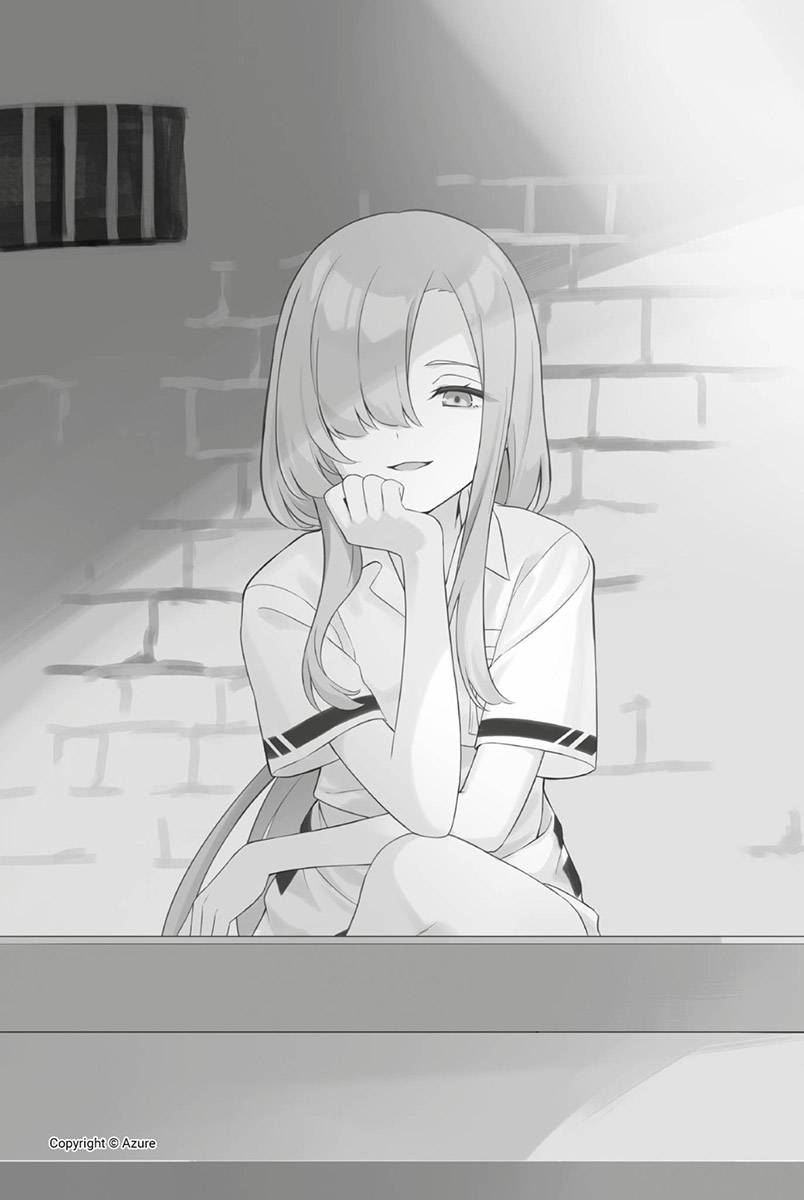 插图 11