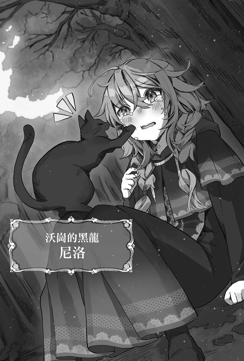 插图 11