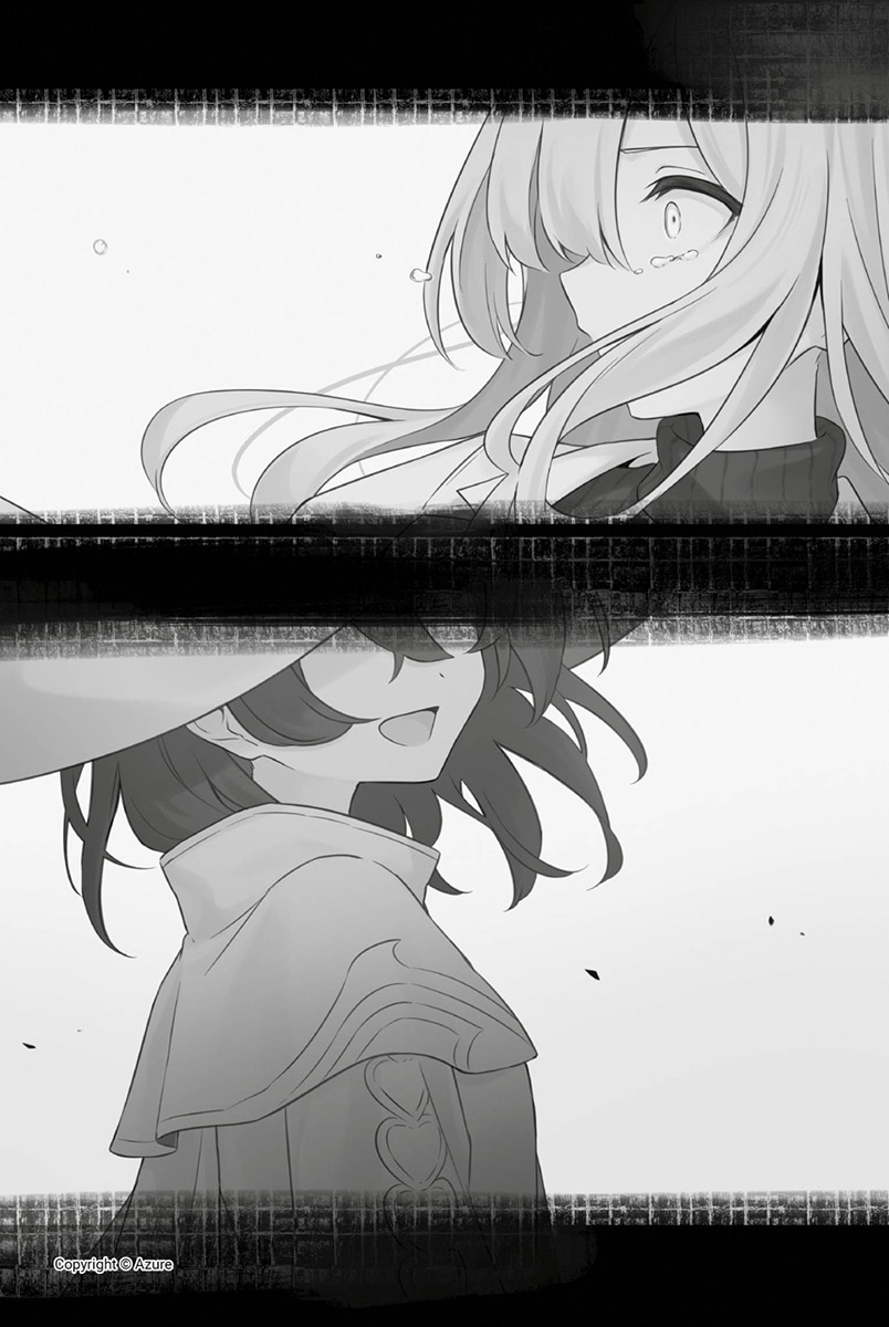 插图 12