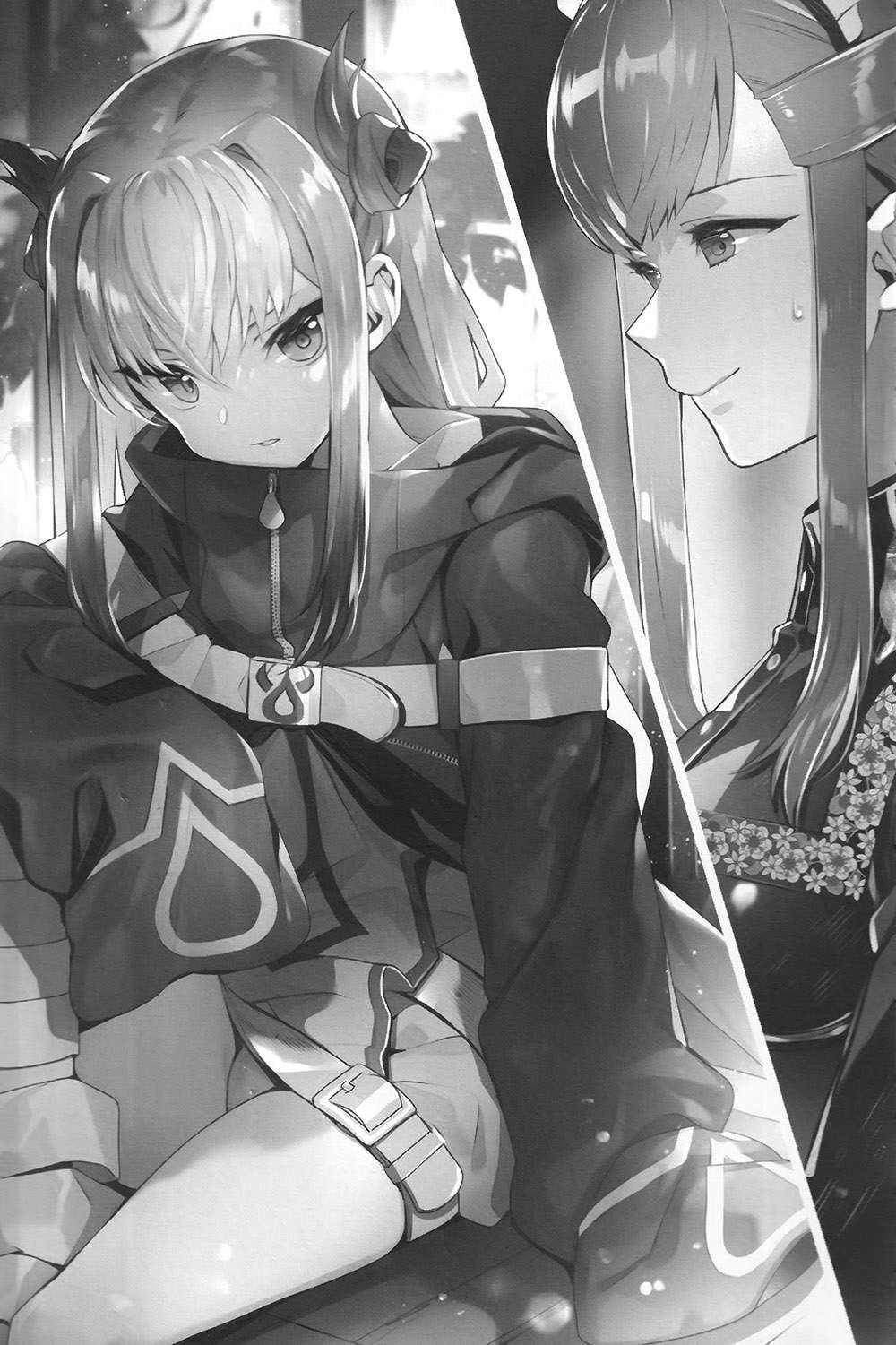 插图 12