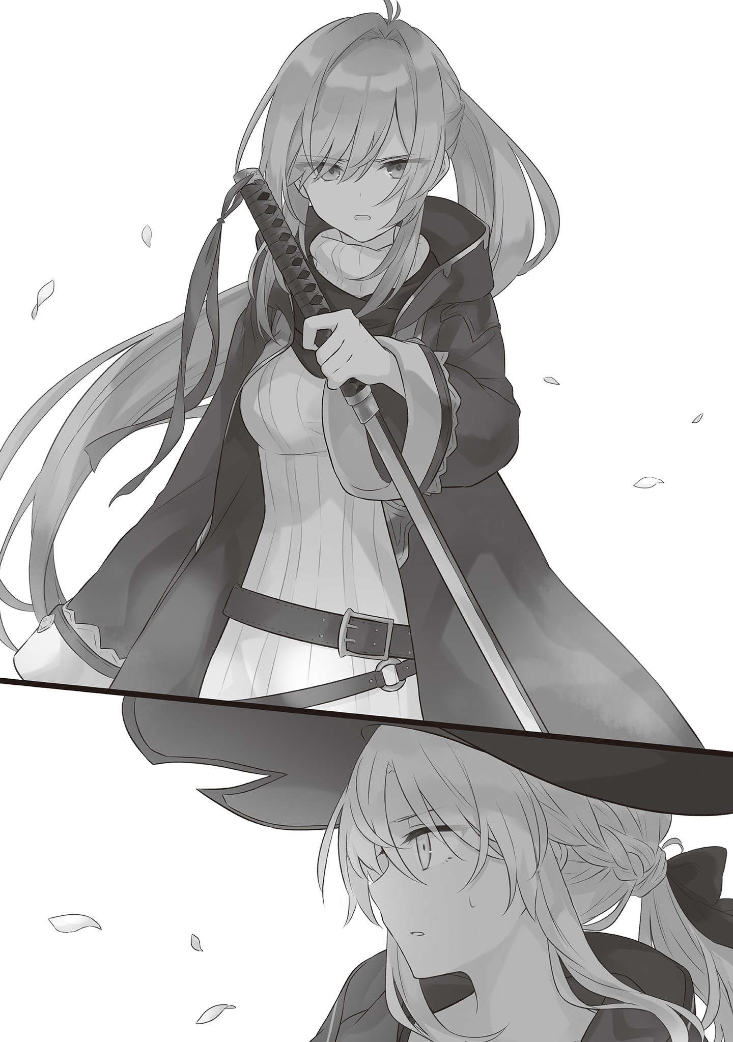 插图 12