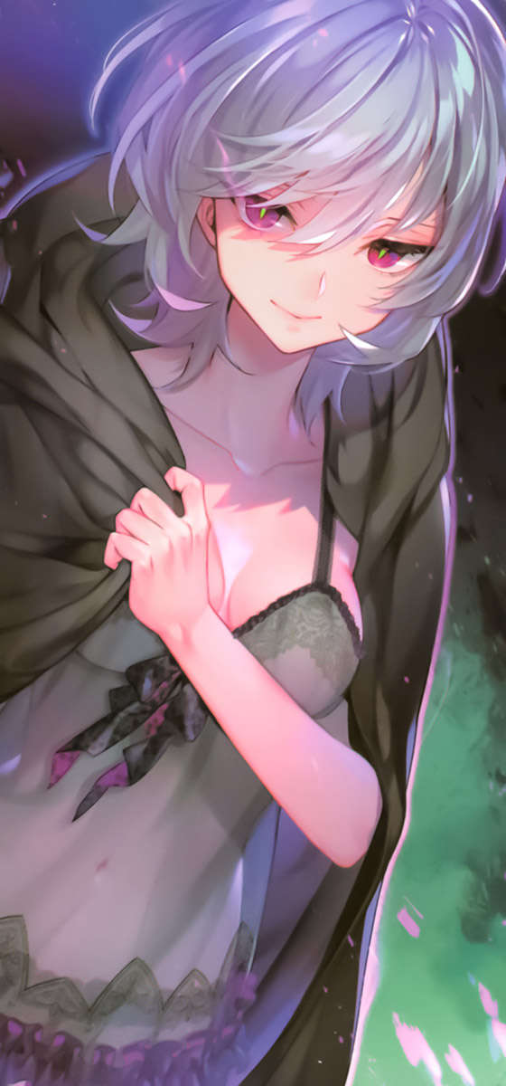 插图 13