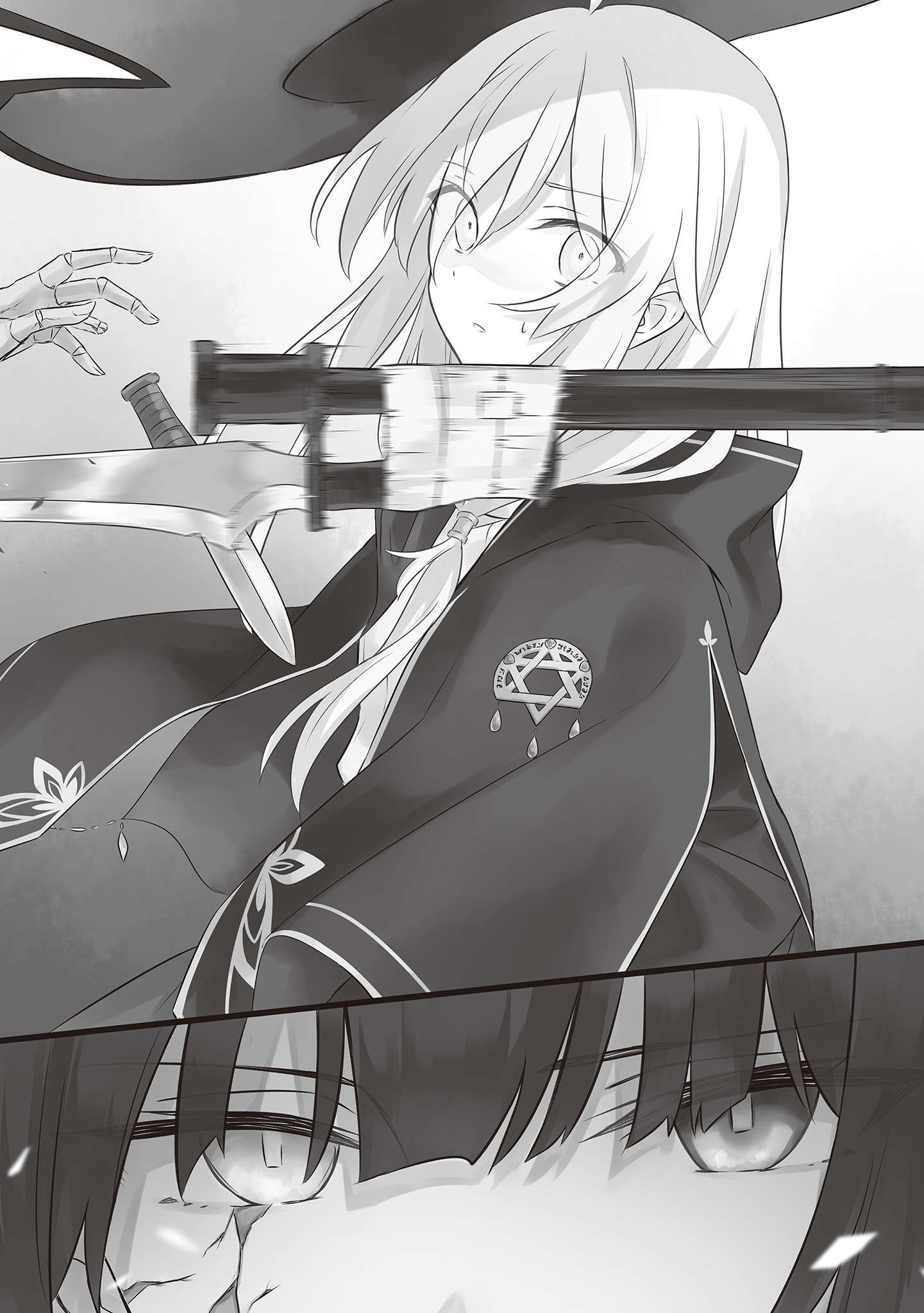 插图 14