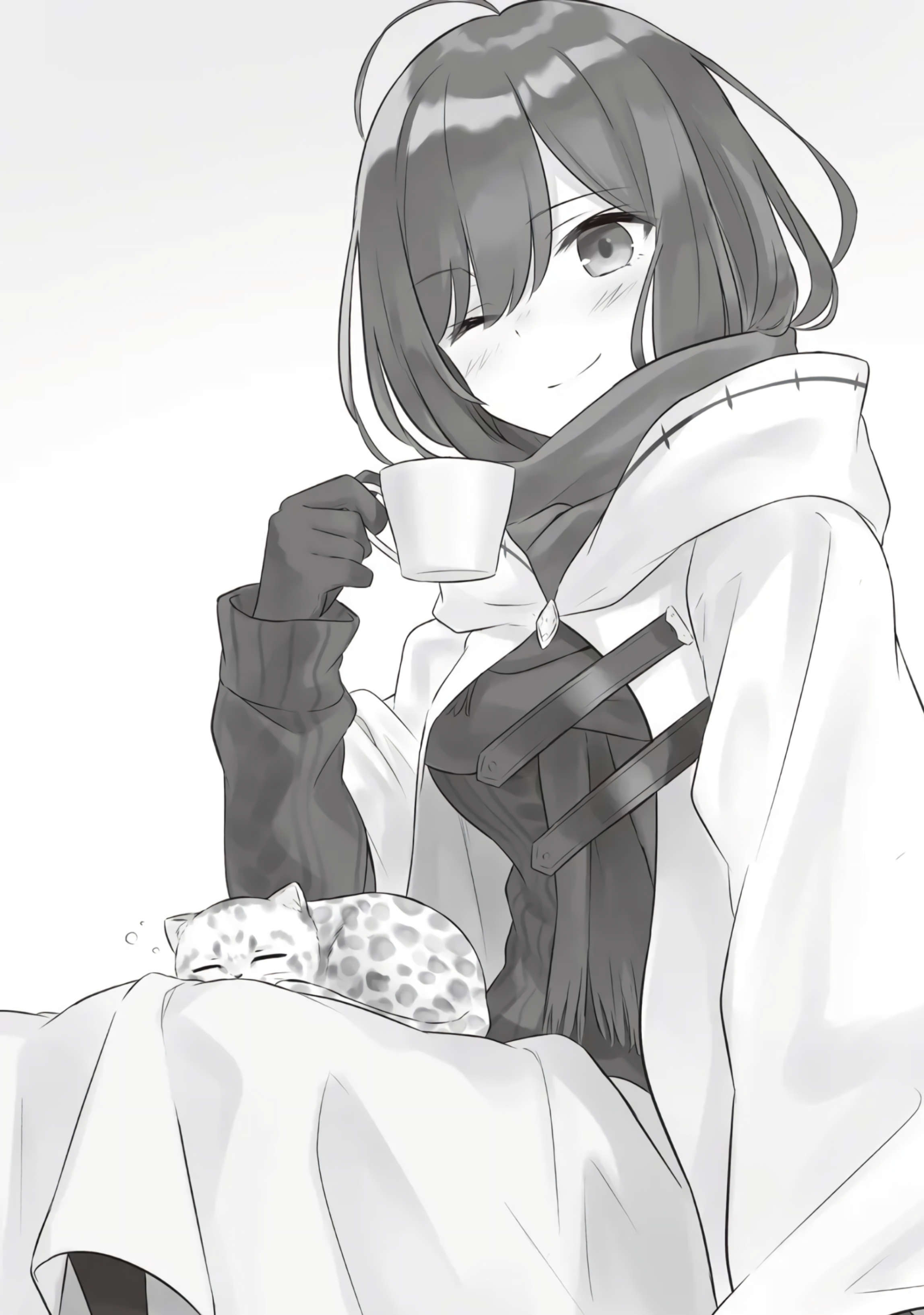 插图 15