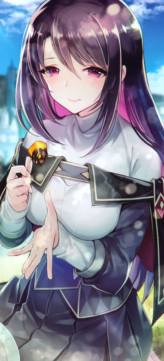 插图 16