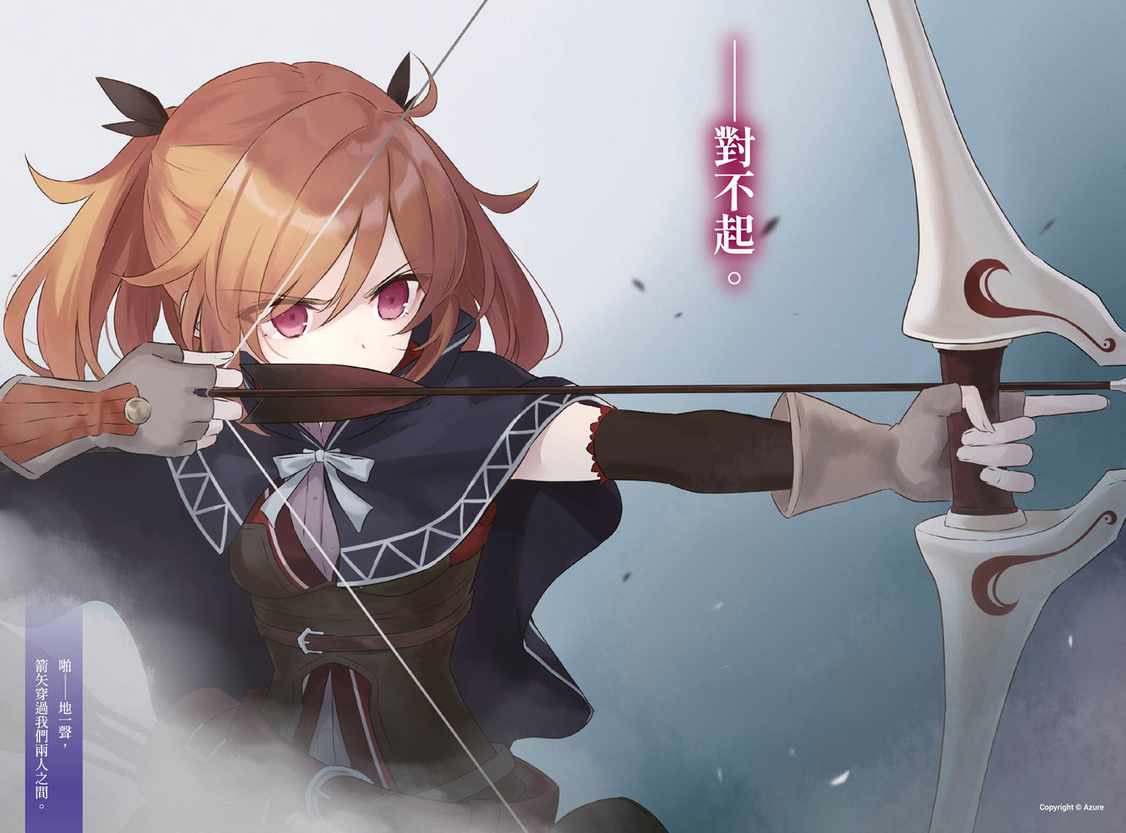 插图 4