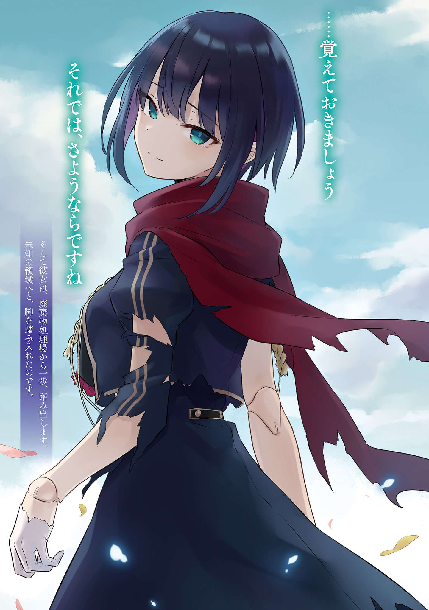 插图 6