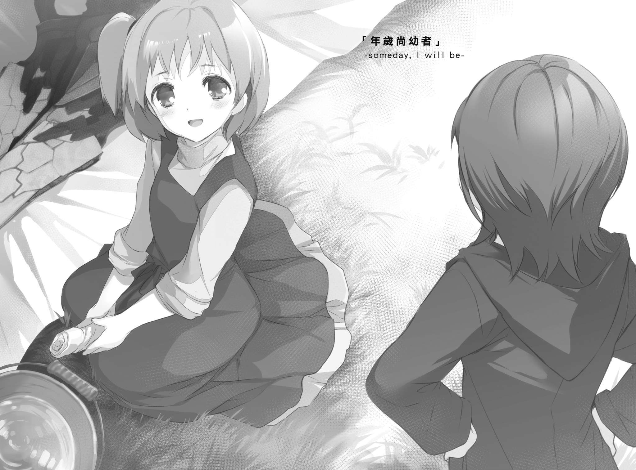 插图 6