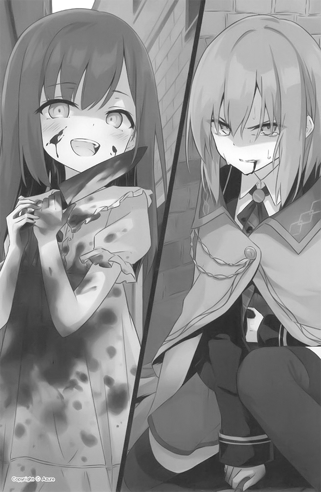 插图 8
