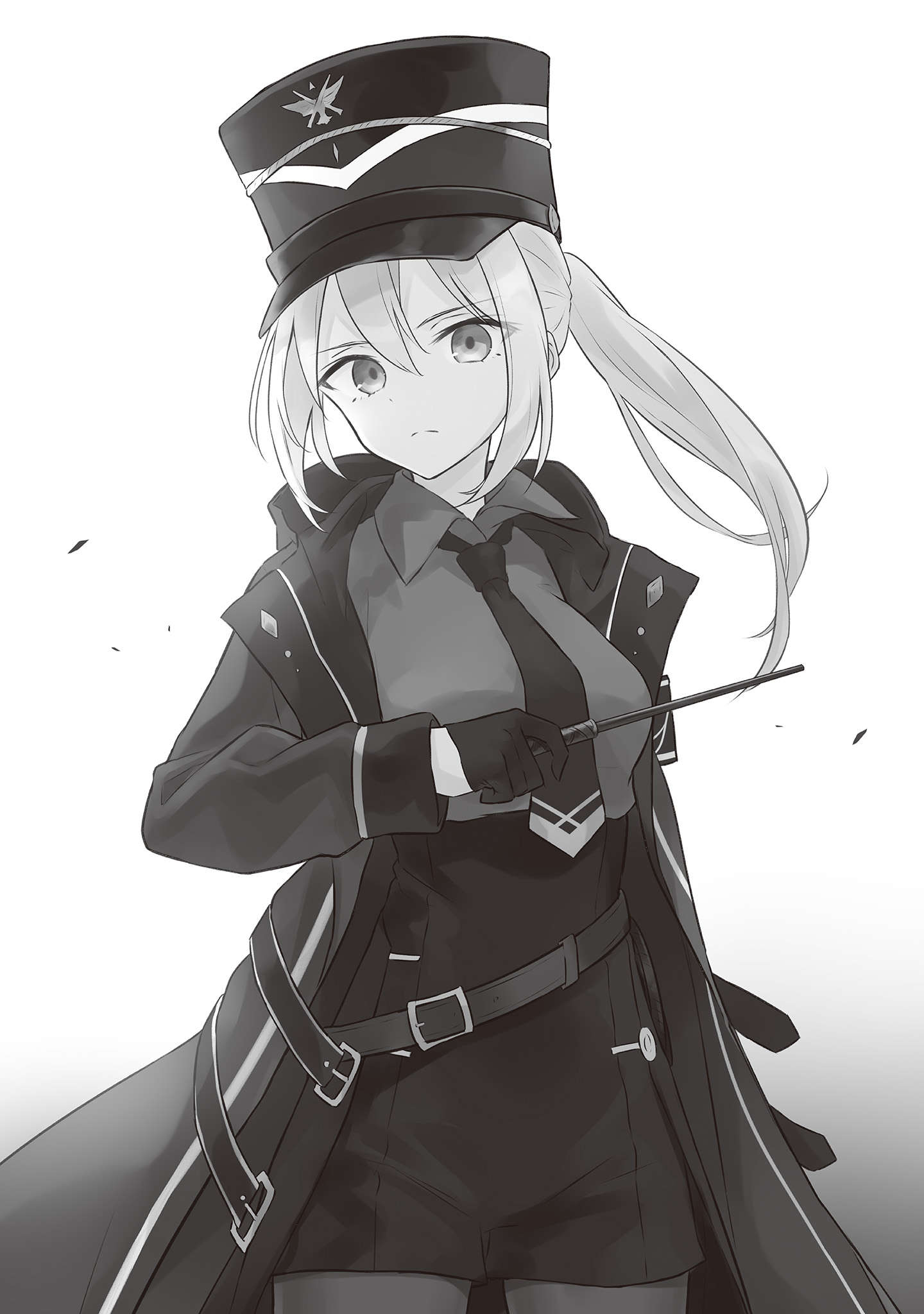 插图 8