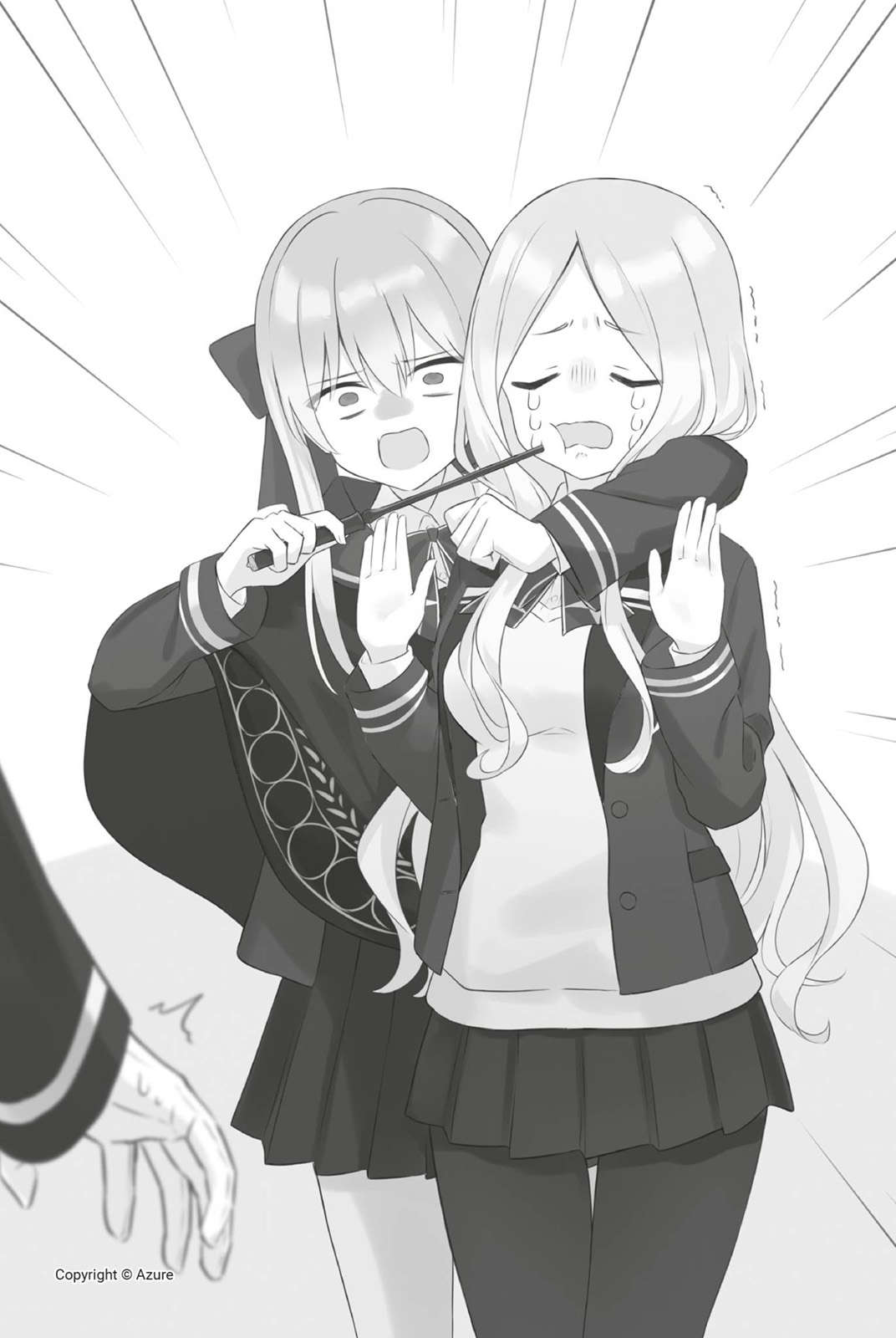 插图 8