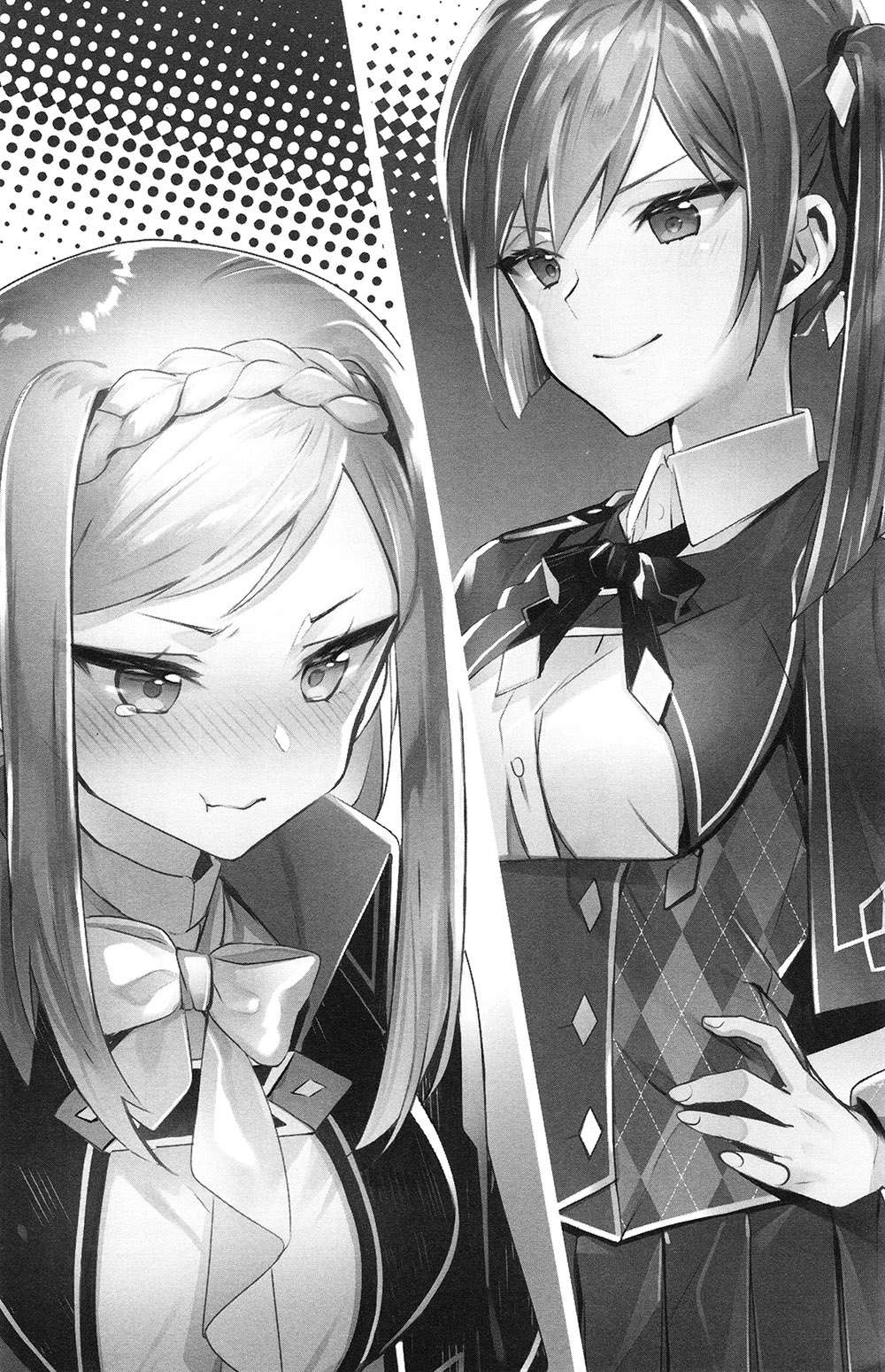 插图 9