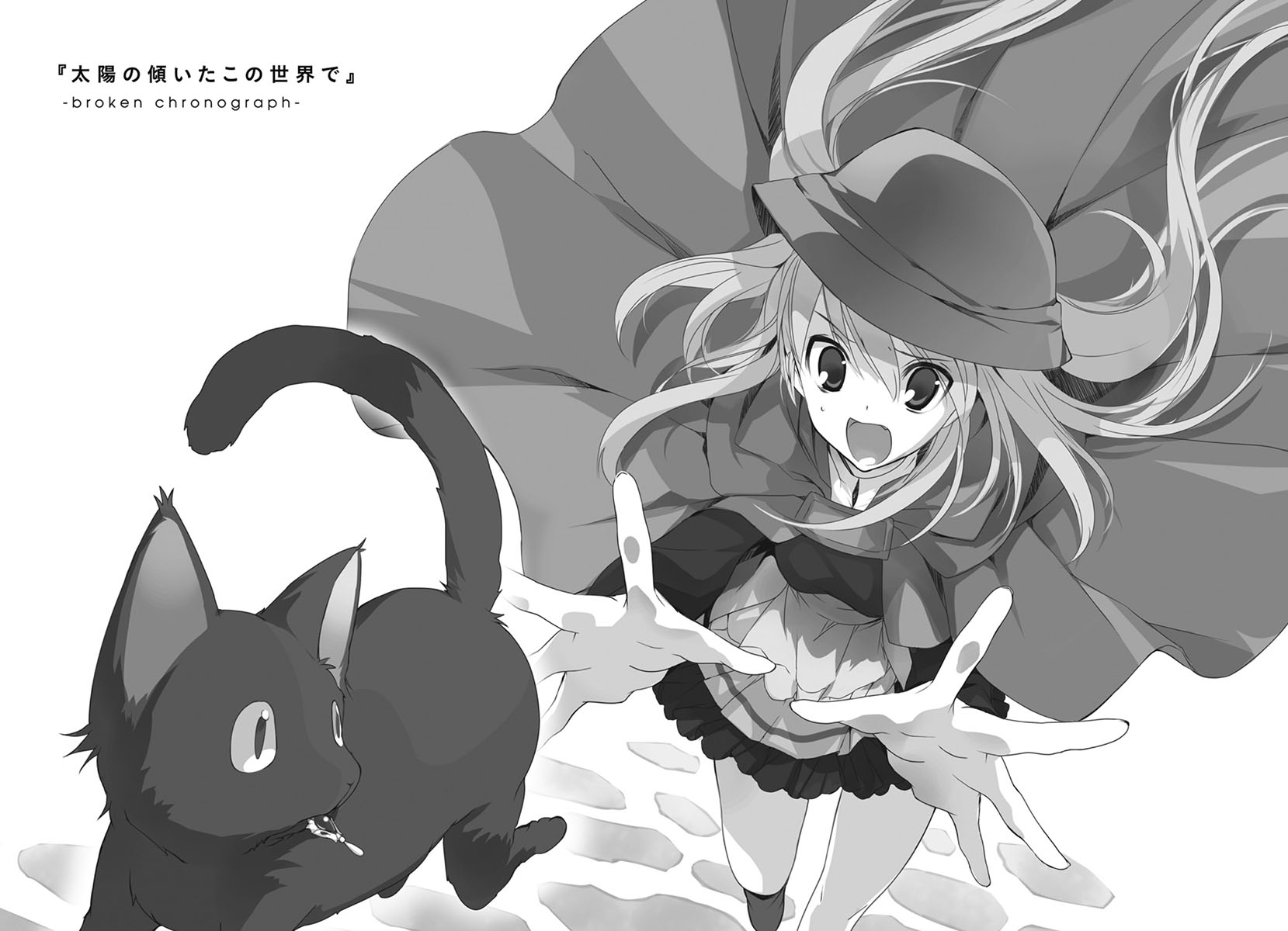 插图 9