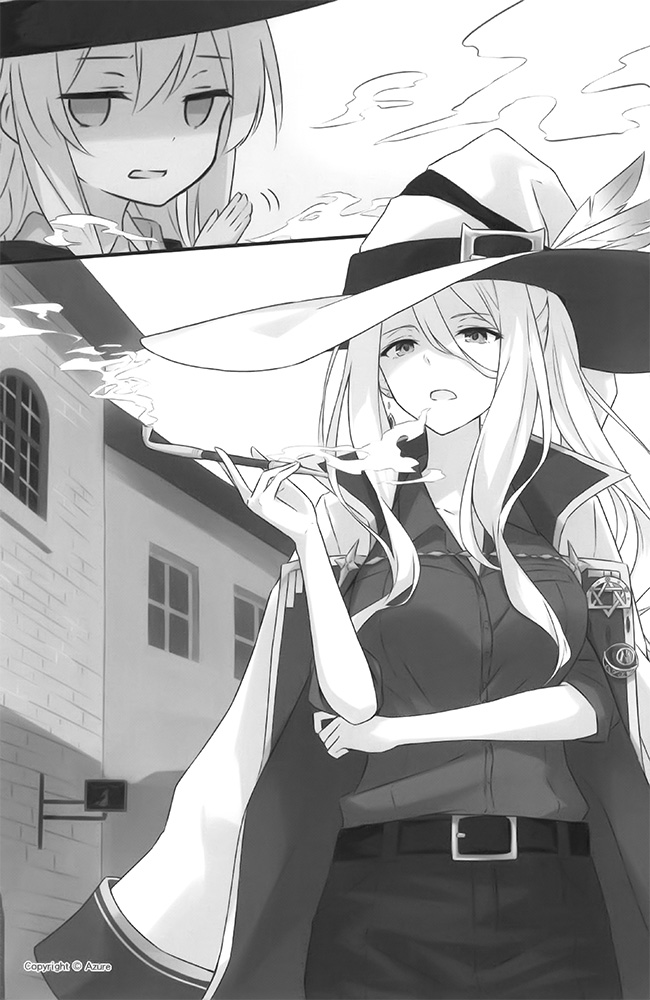 插图 9