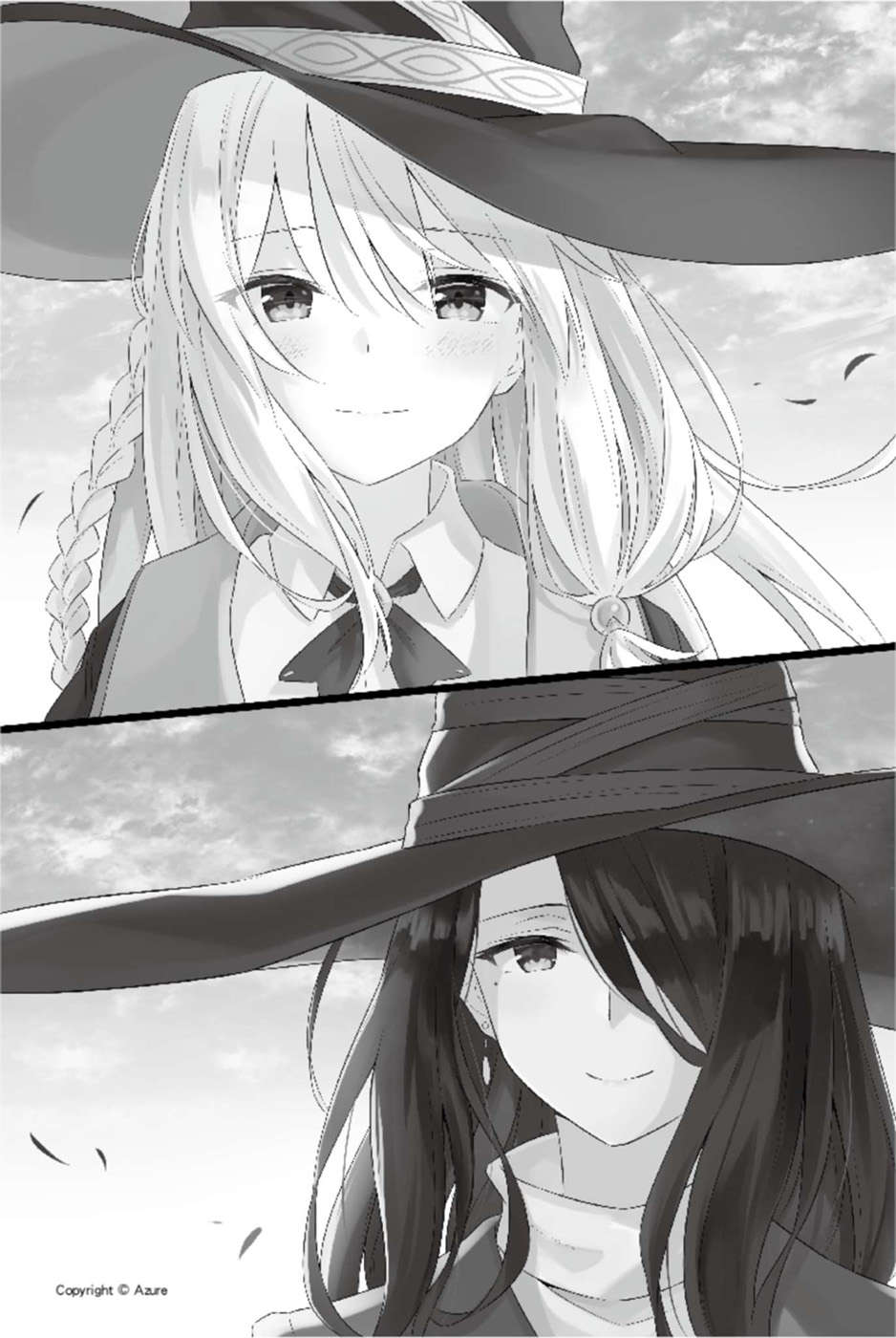 插图 9