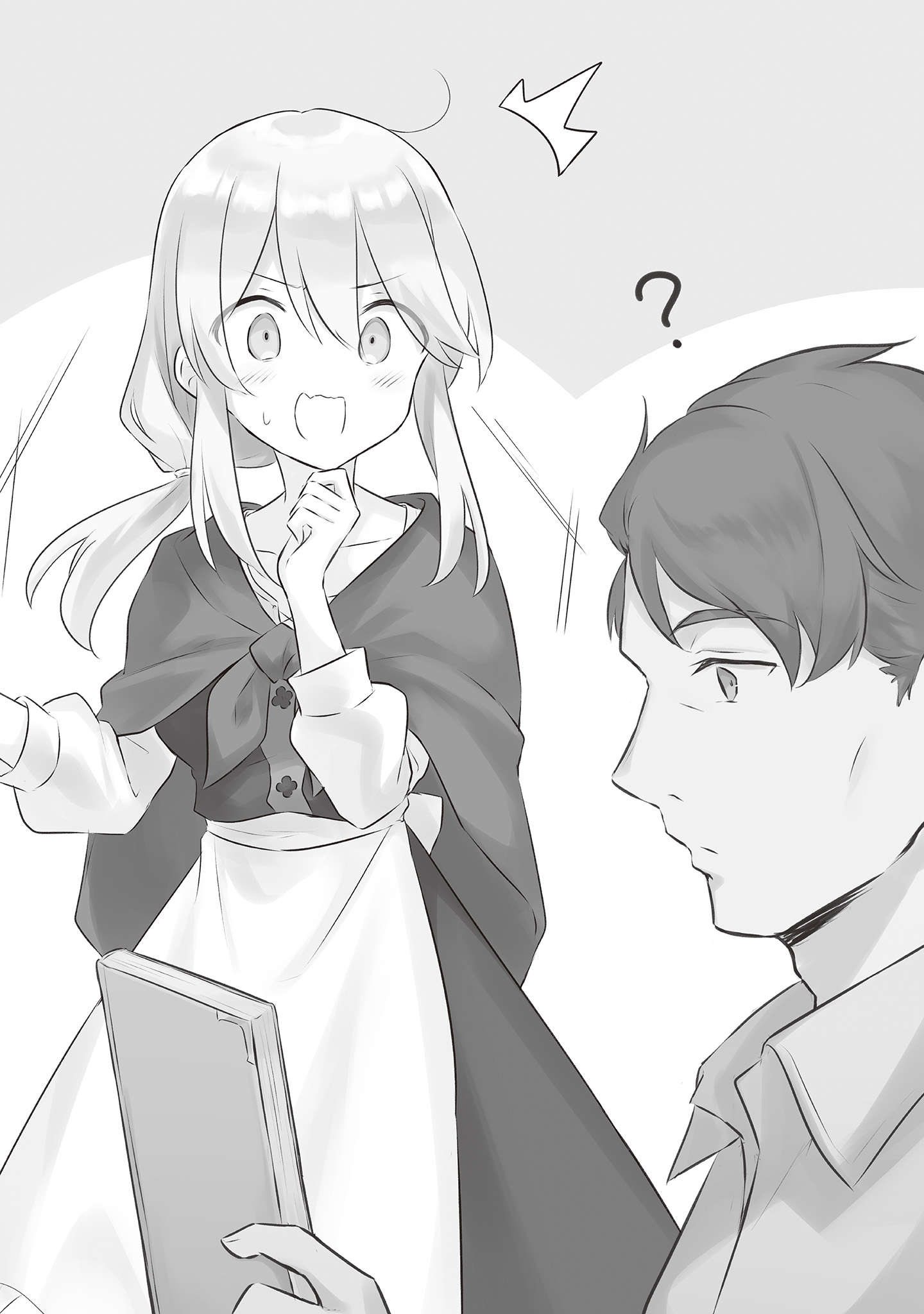 插图 9