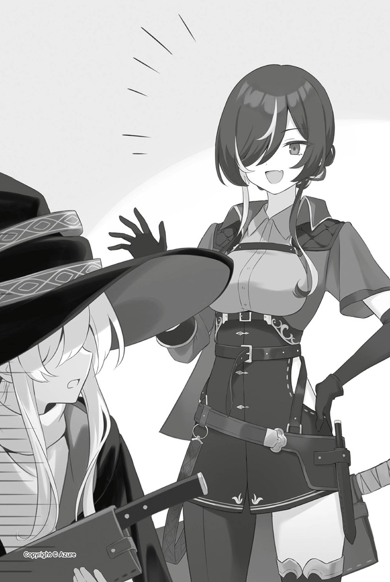 插图 9